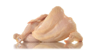 Illustration for article titled Pin-Up Models vs. Poultry Battle on Twitter in Japan